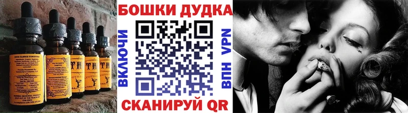 Canna-Cookies марихуана Рыльск