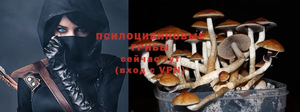 прущая мука Осташков