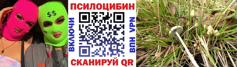Псилоцибиновые грибы Magic Shrooms  Рыльск 