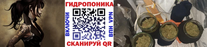Бошки Шишки Amnesia Рыльск